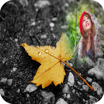 Rain Photo Frame